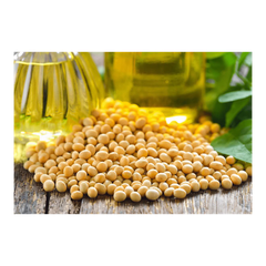 Premium Refined Soybean Oil available in bulk wholesale purchase affordable rates quick shipment - Image 4
