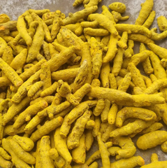 Turmeric Finger - Salem & Nizambad (premium quality) – product photo 1, product detail gallery