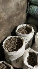 NUTMEG - Image 2