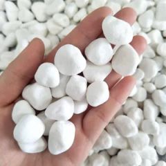 Elegant Black and White Natural Pebbles for Aquariums and Crafts - Image 4