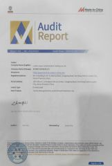 AUDIT REPORT certificate from Luohe Juyou Commercial & Trading Co., Ltd.