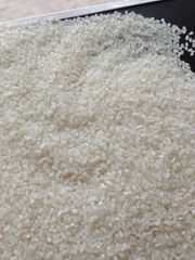 WHITE RICE IRRI-6, BROKEN 100% - Image 2