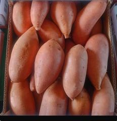 Sweet potato - Image 2