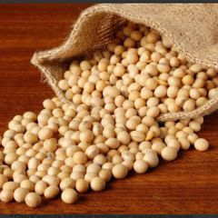Soyabeans - Image 1