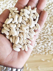 Egyptian White Beans Origin Egypt Size 180/200 Gm Imperfect Seeds 1–3% Brand Name Almahmoud Moisture Content 14% Max Packing Options 25kg & 10kg - Image 2