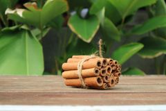 Cinnamon ABCD-Miscut-Broken - Image 3