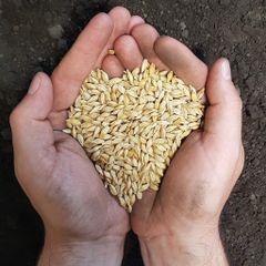 Attachment 4