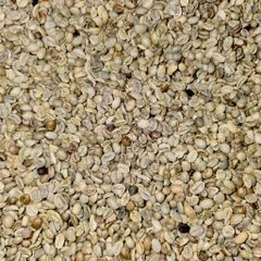 VIETNAMESE ARABICA GREEN BEANS COFFEE FULL WASHED FOR BULK, EXPORT QUALITY – product photo 4, product detail gallery