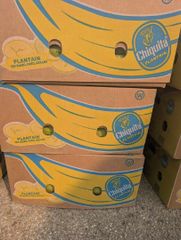 Plantains - Image 4