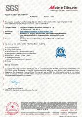 SGS certificate from Guangzhou Pinsheng Automation Industry Co., Ltd.