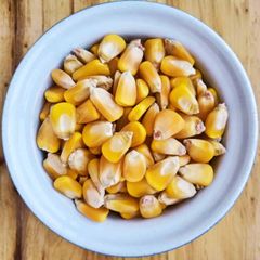 Premium Maize Grain For Commercial Agriculture And Feed Manufacturing With Carefully Selected Kernels Reliable Quality - Image 1