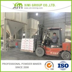 600 Mesh 92% Whiteness Talc Powder for Emulsion Paint - Image 4