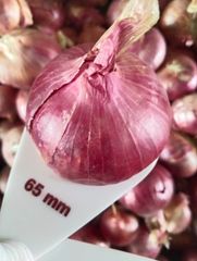 onions - Image 3