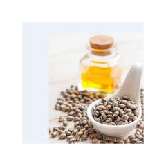Castor Oil Clean Refined Oil Bulk Supply Cheap Price Factory Export - Image 2