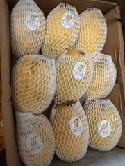 🥭 Premium Pakistani Mango | Fresh Sweet Mango | Grade A Quality | Farm Fresh | Wholesale Supplier | Global Export - Image 6