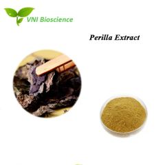 ISO Kosher Certified 100 Natural Perilla Extract - Image 3