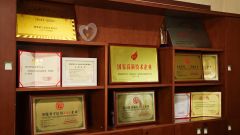 Professional Certificate certificate from Shenzhen Oya Ri New Material Technology Co., Ltd