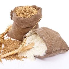 Bulk Wheat Grain Food Grade Milling Wheat Premium Quality Wholesale - Image 3