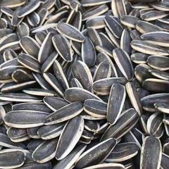 Sunflower Seeds,Premium Sunflower Seeds, Sunflower, seeds, premium seeds  - Image 3