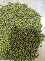 Myanmar Green Mung Beans – product photo 2, product detail gallery