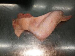 Frozen Grade A+ Chicken 3 Joint Wings – product photo 3, product detail gallery