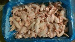 Frozen Grade A+ Chicken 3 Joint Wings – product photo 1, product detail gallery