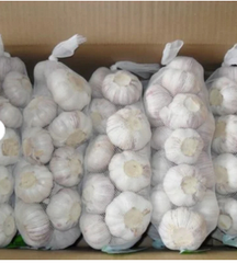 Premium Pure White Garlic Fresh Raw Dry China Origin 2025.Fresh White ZLM Garlic for Wholesale.Fresh garlic in bulk normal white - Image 3