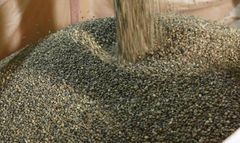 VIETNAM ROBUSTA COFFEE GRADE 1 SCREEN 16, 1%BB – product photo 1, product detail gallery