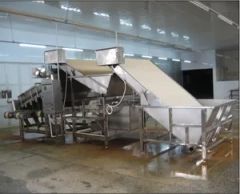 Automatic Industrial 18 Roller Fast Shrimp Grader Multifunction Size Fish Prawn Sorting Grading Machine - Image 2