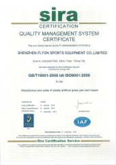 ISO 9001 certificate from Shenzhen Flyon Sports Co., Ltd.