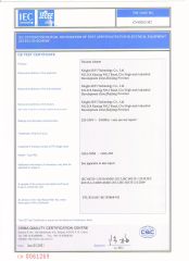 585CB certificate from NINGBO RIYI TECHNOLOGY CO., LTD.