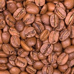 Fresh Roasted Coffee-shop online for premium quality beans for export internationally – product photo 1, product detail gallery