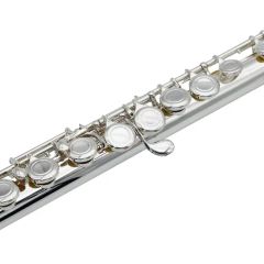 Curved Flute /Beginner Model /Cheap Musical Instrument - Image 5