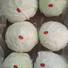 white Cabbage Style Fresh Address egypt Model Number 1 Quality Top Grade Manufacturer Bloom Taste Natural Taste Color Purple, - Image 1