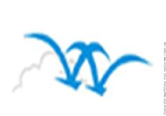 Shenzhen View Well Industry Co., Ltd