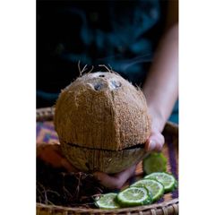 Factory Wholesale Bulk Cold Pressed Food Grade 100% Pure Virgin Coconut Oil for Diet or Skincare Routine - Image 6