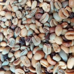 VIETNAMESE ARABICA GREEN BEANS COFFEE FULL WASHED FOR BULK, EXPORT QUALITY – product photo 1, product detail gallery