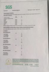 SGS certificate from Shanghai Sky Industrial Products Co., Ltd