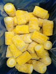 Frozen sweet corn on the cob Brix Level 12 Up Length 3-4 Inches Packaging Bulk, a bulk Place of Origin Vietnam Shelf Life 24 Months, 24 months - Image 1