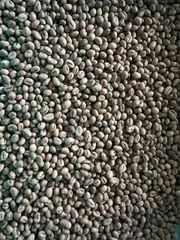 Green Coffee Beans – product photo 1, product detail gallery