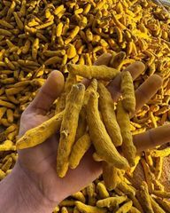 Pure Turmeric For Cooking And Food Ingredients With Natural Color Rich Taste And Aromatic Character Suitable - Image 1
