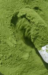 Moringa Powder – product photo 3, product detail gallery