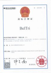 Branded BelTri certificate from PUTIAN BELTRI INC.