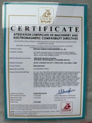 CE certificate from Weifang Taineng Power Equipment Co., Ltd