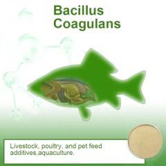 Effective Microorganisms Probiotics Bacillus Coagulans Powder - Image 5