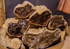 Damar Resin - Image 3