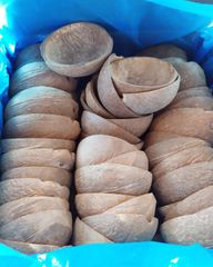 Coconut shell oval cups - Image 1