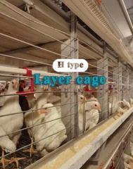 Advanced High-Accuracy Tools for Automatic Chicken Farm Management - Image 6