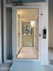 Commercial Passenger Residential Exterior Elevator Lift with Factory Prices - Nanjing Aplus Machinery Equipment Co., Ltd
