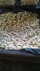 Tanzanian W320 Cashew Kernels- Wholesale Export - Image 5